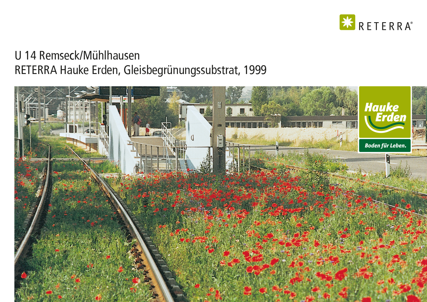Remseck-Mühlhausen Gleisbegrünung 1 - RETERRA RETERRA Erden